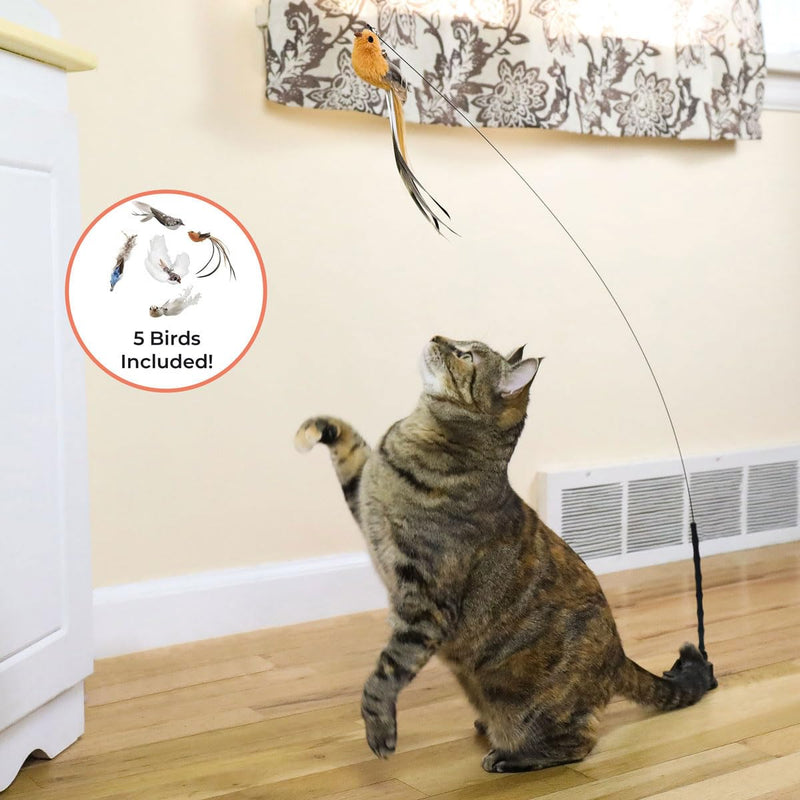 Interactive Bird Simulation Cat Toy Set, Interactive Cat Toys for Indoor Cats, Cat Feather Toy, Self-Holding Suction Base, 5 Replacement Birds, Feathers & Bells, Realistic Bird Impression Bird Toy Set With 5 Birds - PawsPlanet Australia