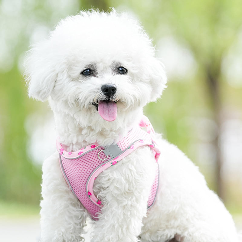 Petank Dog Harness for Small Medium Dogs No Pull, Puppy Harness and Leash Set, Mesh Adjustable Breathable Light Vest for Walking, Running, Training. (Pink, XXS) Pink - PawsPlanet Australia