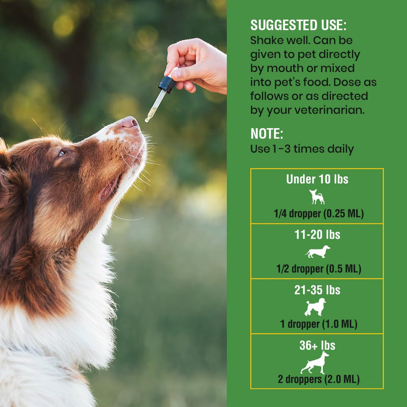 Natural Intestinal Defense for Dogs, Herbal Cleanse with Wormwood, Black Walnut - Digestive Support Promotes Gut Health & Flora Balance, Advanced Broad Spectrum Formula - Made in The USA, 4oz
