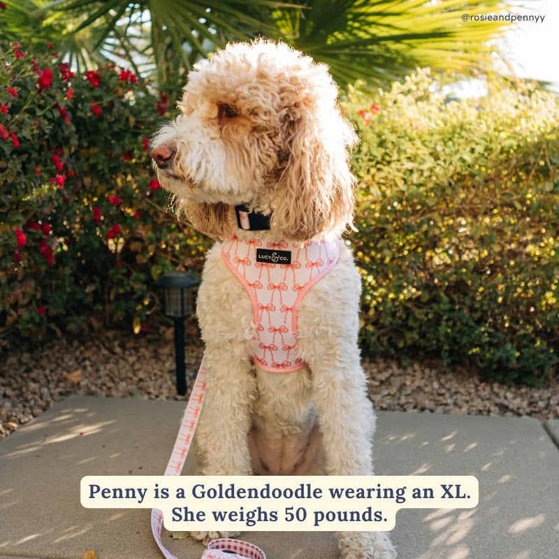 Lucy & Co. Cute Reversible Dog Harness Walking Halter - Best Designer Pet Harnesses for XS - XL Dogs - Padded Adjustable Vest for Easy Walking (Medium, Ballet Bows - White & Pink Bows) Medium The Take a Bow Dog Harness - PawsPlanet Australia