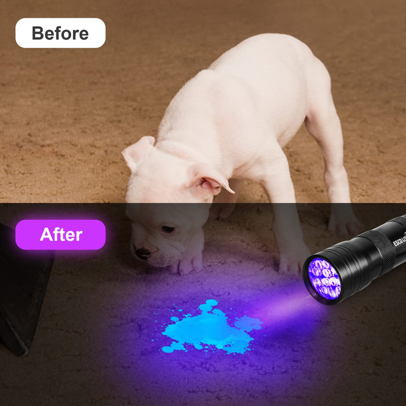 Escolite Black Light Flashlight, 12LED 395nm UV Handheld Black Light Mini, Dogs Urine Detector for Dry Urine Stains, Bed Bugs, Scorpions(2 Packs) - PawsPlanet Australia
