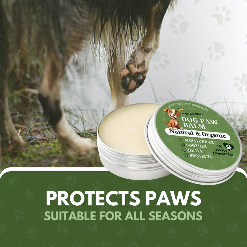 Rhoose Point Remedies Dog Paw Balm - Softens, Heals, Soothes & Protects Dogs Paws, Noses & Skin. All Natural, Organic Ingredients. Lick-Safe Protection for Dogs with Beeswax (1 fl.oz - Starter Tin) 1 fl.oz - Starter Tin - PawsPlanet Australia
