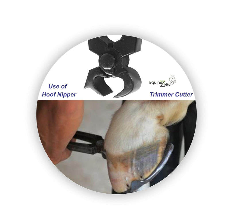 11.5” Professional Hoof Nipper Trimmer Cutter for Farriers – Premium Quality Stainless Steel Hoof Care Tools with Precision Cutting Edges, Durable Hoof Trimming & Shaping for Professional Use