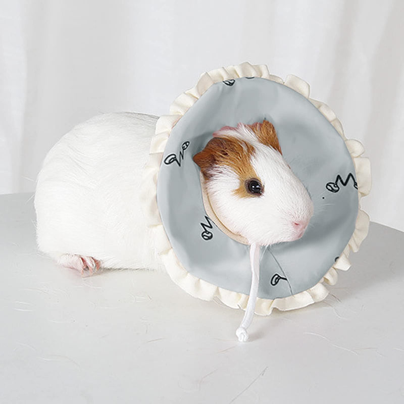 Hamster Cone Recovery Collar After Injury Anti-Lick Anti-bite Pet Protection Collar for Small Animal Elizabethan Collar for Rabbit Guinea Pigs Rats Ferret Squrrel (S, Blue) - PawsPlanet Australia