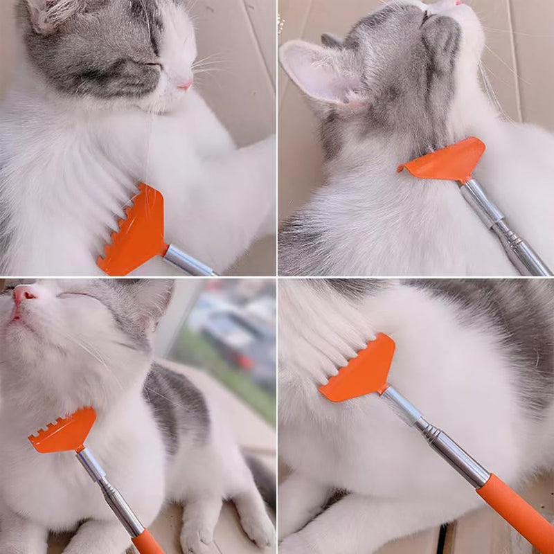2-Pack Pet Interactive Touch Therapy Toys for Cats & Dogs, Telescopic Pet Massage Stick for Training, Bonding, Socialization, Retractable 22 Inch Skeleton Hand & Rake Shaped Teaser Wand Mixed - PawsPlanet Australia