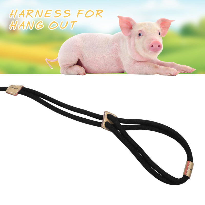 Pig Harness, Adjustable 8 Feet Leash for Small to Medium Pet Pigs