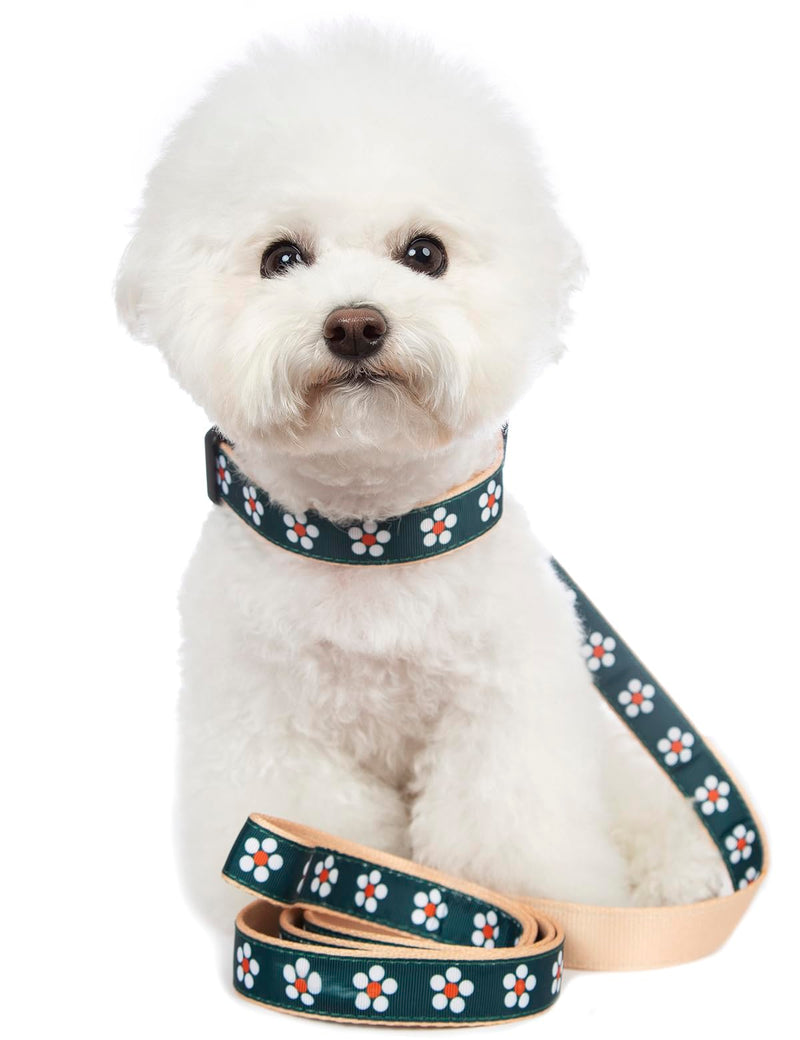 2PCS Floral Dog Collar and Flower Leash Set Pet Gift Adjustable Dogs Floral Collars for Small Medium Large Collars (S) S (7"-12") - PawsPlanet Australia