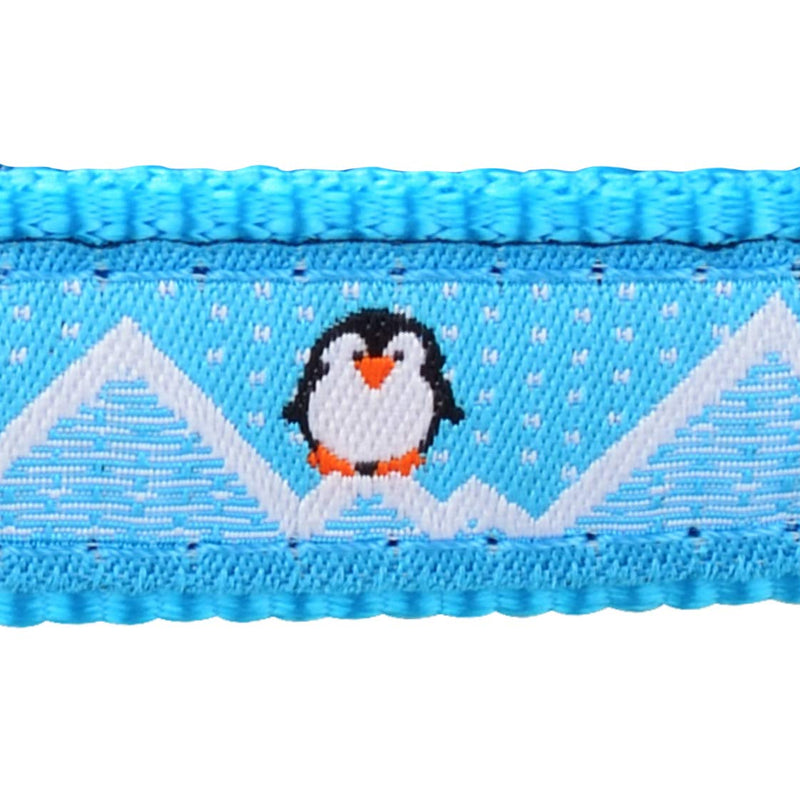 Red Dingo Bucklebone Dog Collar Design, Penguin Turquoise, Medium 20mm - PawsPlanet Australia