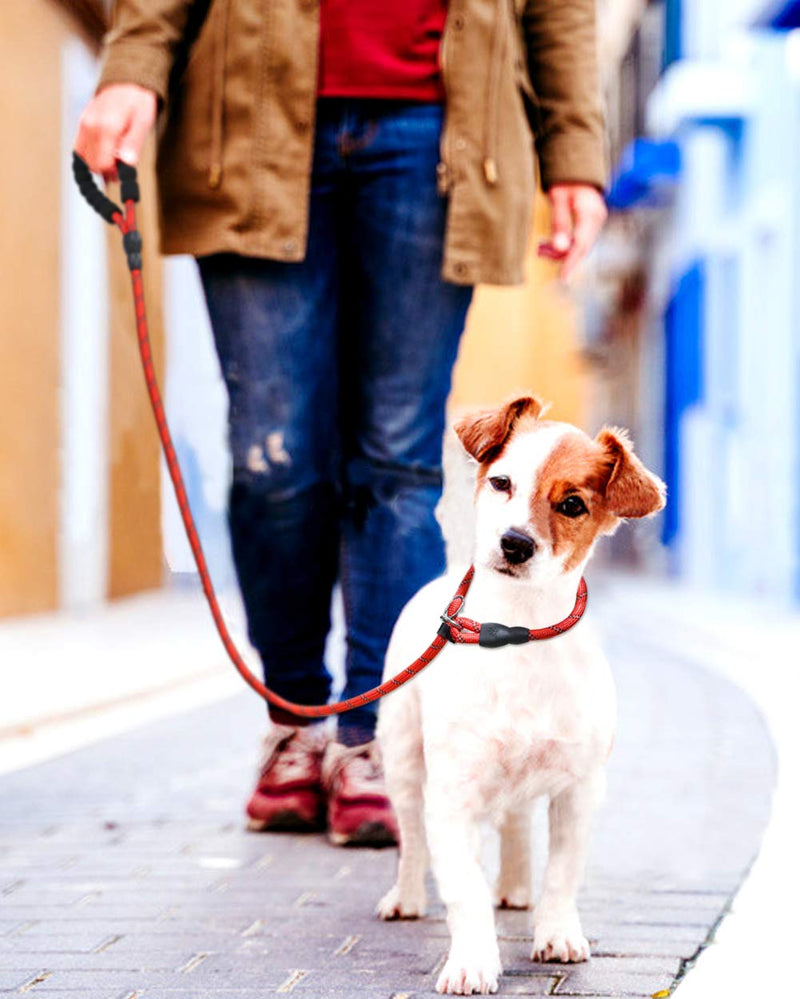 TagME Slip Leads for Dogs, 6 FT Heavy Duty Slip Leash with Padded Handle, Strong Rope No Pull Pet Training Leash for Small Dogs,Red S-5/16"x6'(0-50lbs) Red - PawsPlanet Australia