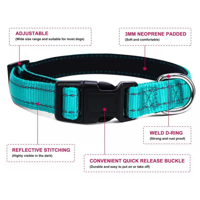 Soft Neoprene Padded Dog Collar and Leash Set for Small Medium Large Dogs, Reflective Durable Nylon Dog Collar with 5ft Leash Easy for Walking, Teal,Neck fit 10.5-15.5’’ S:Neck 10.5-15.5’’, Leash 3/4’’*5ft - PawsPlanet Australia