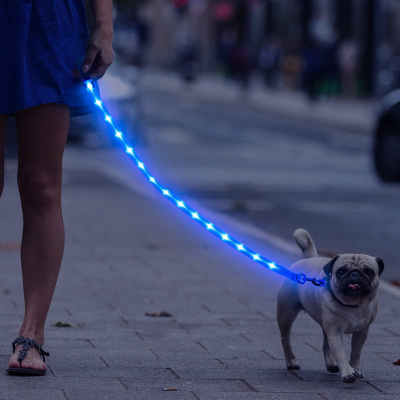 Weesiber Glowing Light Up LED Dog Leash - 4ft USB Rechargeable Flashing Nylon Leash for Small Medium Large Dogs, 3 Flash Modes Blue - PawsPlanet Australia