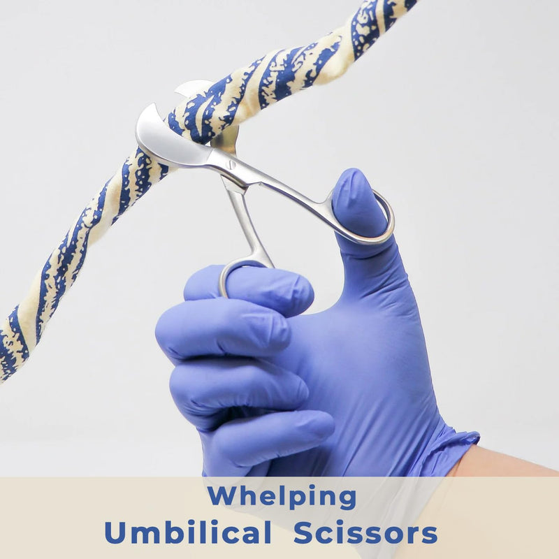Whelping Umbilical Cord Scissors for Vets & Pet Breeders | Sandbros Umbilical Cord Cutting Scissors