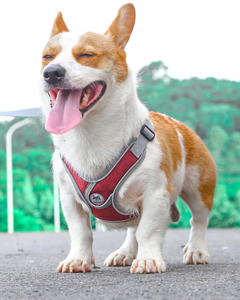 Dog Harness with Leash Set,No Pull Adjustable Vest Harness,Lightweight Easy Walk Dog & Cat Harness,Pet Harnesses Reflective for Puppy Small Medium and Large Dogs and Cats (Red, S) Red - PawsPlanet Australia