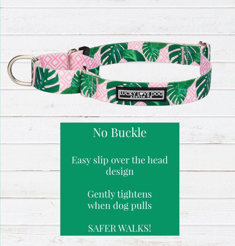 Lucky Love Dog Martingale Dog Collar - Adjustable, No-Slip, Comfortable, Durable, Soft Webbing & Stylish Patterned Collar for Male and Female Dogs Ideal for Training & Walking - Laguna, Medium Medium Collars (13-21") - PawsPlanet Australia