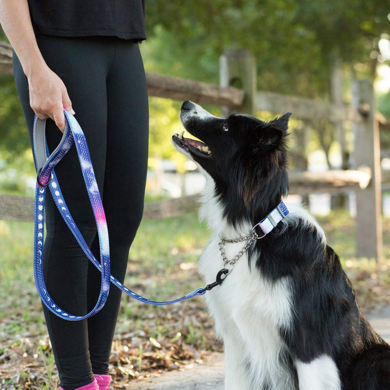 Leashboss Martingale Collar For Dogs - Steel Chain | Reflective Nylon Dog Collar for Large Dogs, Medium and Small Dogs | No Pull Pet Training Collar Small | Quick Release Buckle, Adjustable Pet Collar Medium-Large (16-19" Neck x 1" Wide) - PawsPlanet Australia