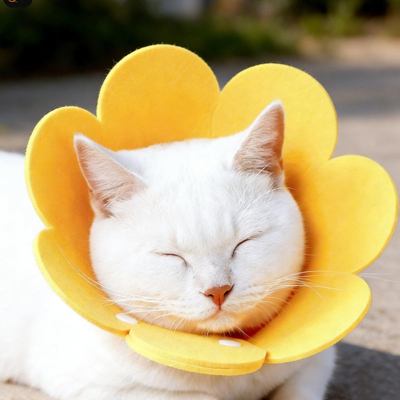 Cat Collar, Pack of 4 Sunflower Soft Protection Yellow, Orange, Pink and Blue Protective Collar, Breathable Adjustable Anti Bite Cat Collar for Cats, Puppies and Small Dogs