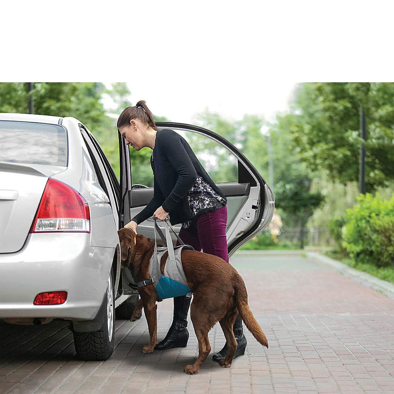 Kurgo Up & About Dog Lifter - Elderly Dog Mobility Aid - Comfortable Padded Chest - Adjustable Support Straps - Lifting Harness for Car Entry & Easy Stair Climbing - PawsPlanet Australia