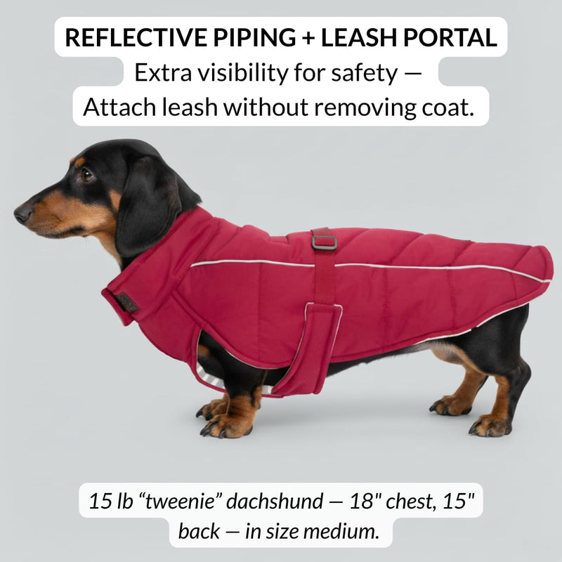 DJANGO Insulated Winter Dog Coat – Warm, Water-Repellent Puffer Jacket for Medium & Large Dogs – Adjustable, Reflective, Cozy Cold-Weather Dog Coat with Harness Hole for Snow – Firelight Red, Large