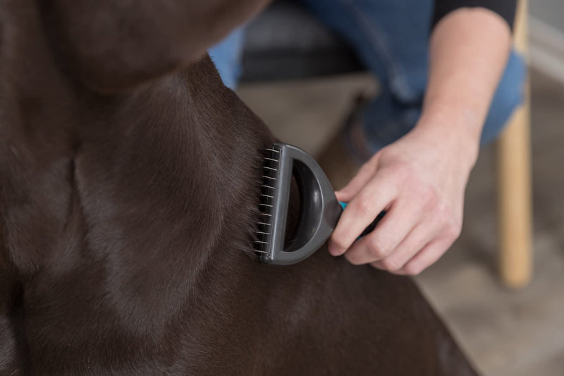 TRIXIE coat detangler for detangling and thinning - cuts small tangles - smoothes top coat and undercoat - 1 cm tine length - rubberised plastic handle - 6 x 18 cm - black/blue - 24242 6 x 18cm - PawsPlanet Australia