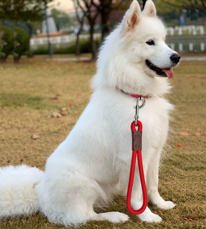 Short Dog Leash, 12 Inch Rope Traffic Handle Lead, 1/2" Strong Nylon Dog Tab Training Leash for Medium/Large/Ex-Large Dogs Outdoor Walking Black - PawsPlanet Australia