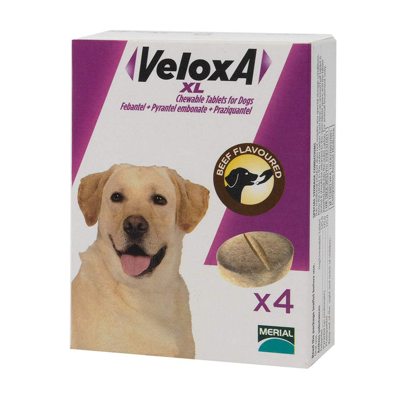 Veloxa XL Chewable Dog Wormer, 4 Tablets XL- 4 Tablets - PawsPlanet Australia