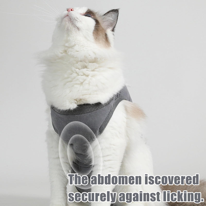 2 PCS Cat Recovery Suit, Breathable Anti-Lick Cat Spay Bodysuit, Cone Alternative Post-Surgery Shirt for Abdominal Wounds, Soft Cotton Cat Surgery Clothes for Kittens & Adult Cats (2-4 kg Cats)