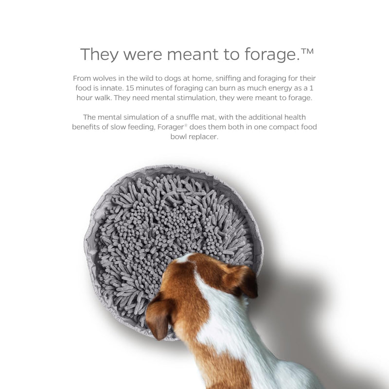 Pet Parents® Forager® Bowls, Slow Feeder Dog Bowls with SoftSnout™ & Non-Slip Backing Technology, Dog Feeder Mat & Snuffle Mat for Large Dogs and Small Dogs (Forest Modern Grey) Forest Modern Grey - PawsPlanet Australia