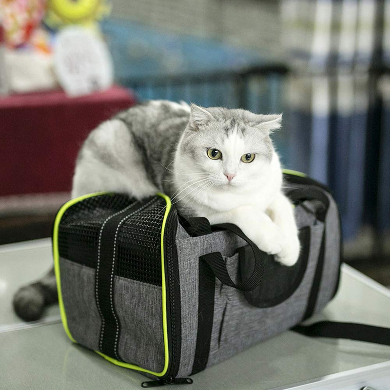 Collapsible Travel Cat Carriers Dog Carrier Pet Carrier for Small Medium Cats Dogs Puppies up to 15 Lbs,Multifunctional Pet Carrier Bag with Mesh Ventilation, Gray - PawsPlanet Australia