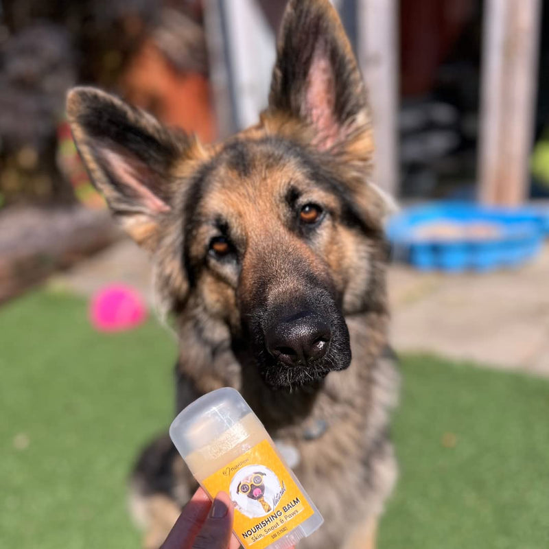 NutriPaw Nourishing Balm For Dogs & Cats - Moisturise & Soothe Dry, Cracked, Flakey Skin, Snout & Paws - Easy to apply - For all ages & breeds