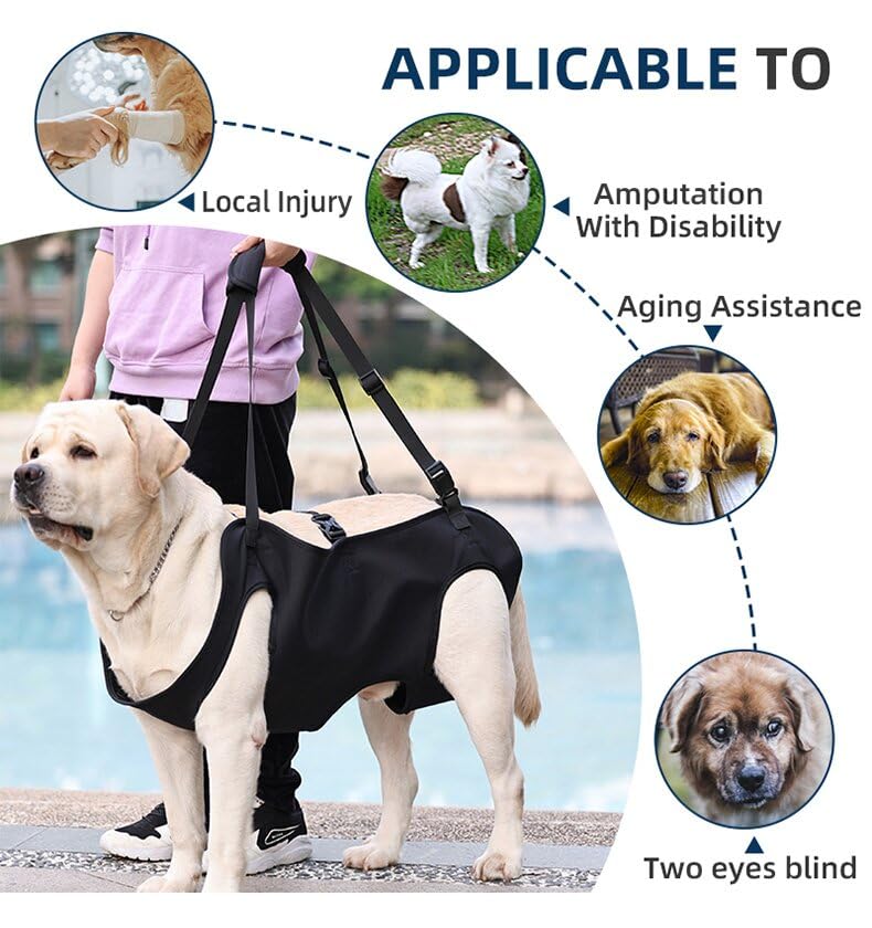 Dog Lift Harness, Dog Carry Strap, Pet Support for Rehabilitation Sling Lift Straps for Old, Disabled, Joint Injuries, Arthritis, Black, XL