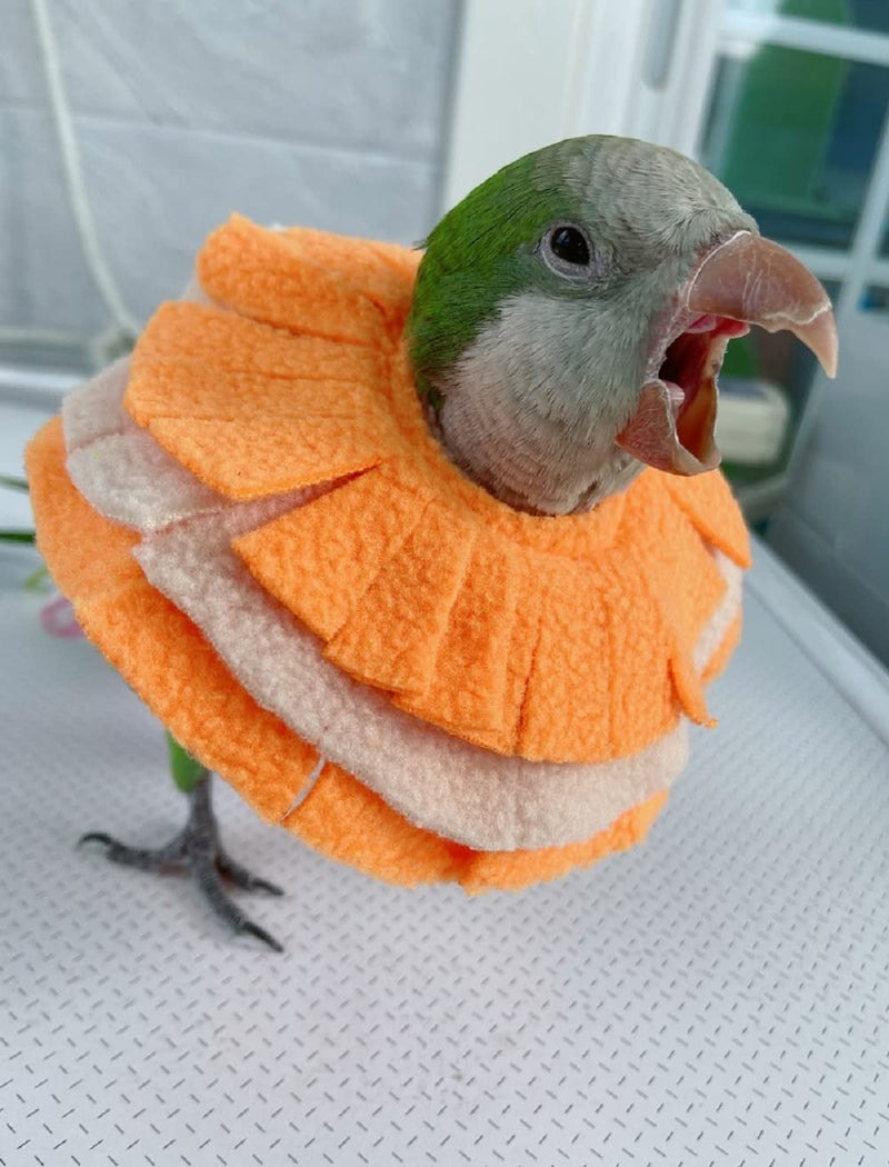 Adjustable Parrot Cone Collar, Safe and Practical Cotton Collar to Prevent Bites and Licking Wounds, to Help heal (5XL) 5XL - PawsPlanet Australia