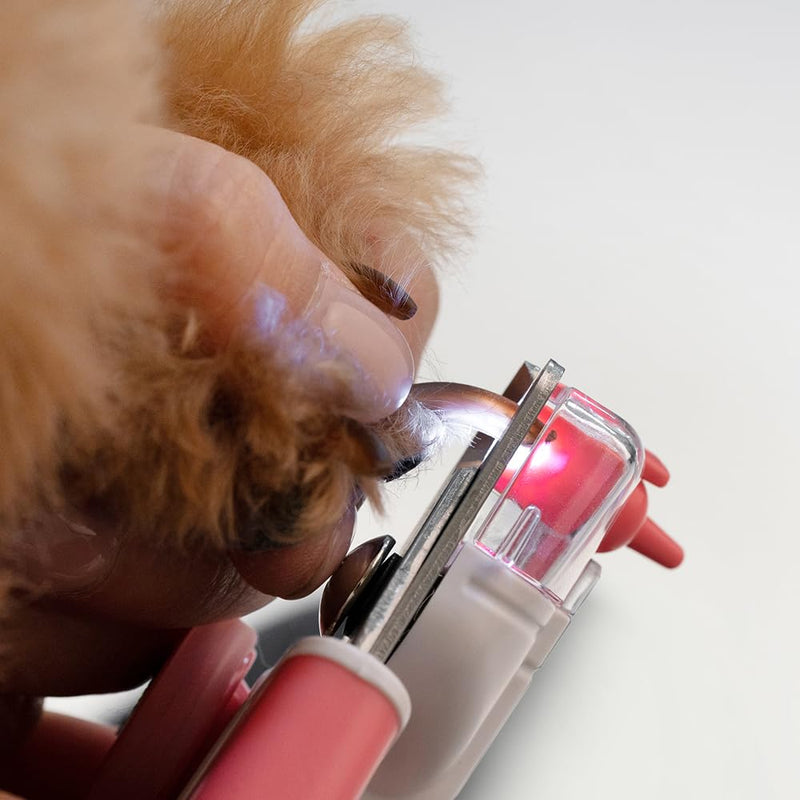 Walkinnwith LOOKUT Premium Dog Nail Clippers with Guide Light [Made in Korea] Safe Cat Nail Clippers – Easy Cat Claw Trimmer and Nail Trapper for Smaller Pets Under 40 lbs – Pink Edition - PawsPlanet Australia