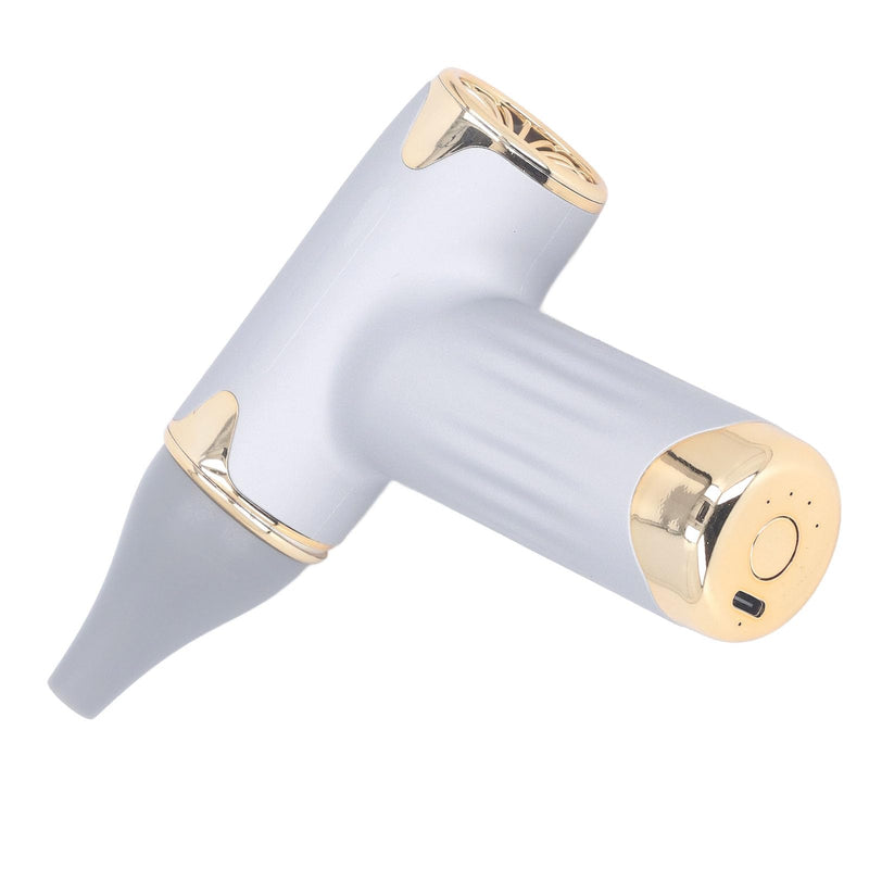 Tbest Pet Hair Dryer, High Speed 4 Levels Wind Bladeless 60W Electric Hair Dryer Handheld Dust Blower for Cats Dogs (Silver Silver - PawsPlanet Australia