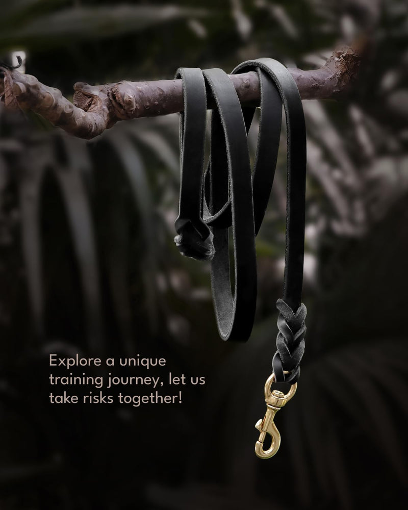 FAIRWIN Leather Dog Leash 6 Foot - Braided Military Grade Heavy Duty Dog Leash for Large Medium Small Dogs Training and Walking(Black, L:3/4" x 6ft) L - 6 ft x 3/4 inch Black - PawsPlanet Australia