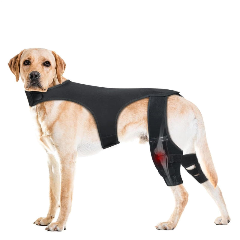 Dog Knee Brace | Knee Support for Dogs (Back) | Adjustable Knee Cuff with 4 Metal Stabilizers | For Walks, Hikes, Training, Outdoor Activities, Park and Travel, Black XL