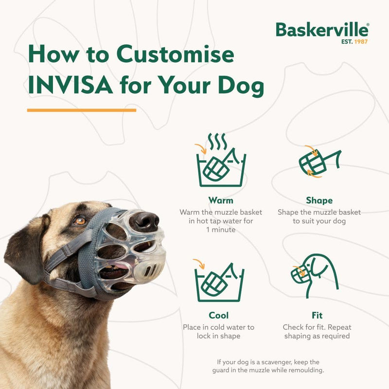 Baskerville INVISA Basket Dog Muzzle - Patented Humane Design with Facial Visibility, Padded Nose Band, Dog can Pant and Drink, Prevents Biting and Scavenging. Muzzle for Medium-sized Dogs (Size 4) - PawsPlanet Australia