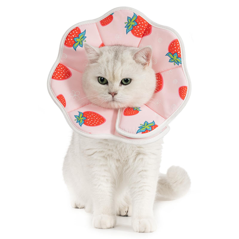 Avont Soft Cat Recovery Cone Collar Bundle with Cat Recovery Suit After Surgery -S