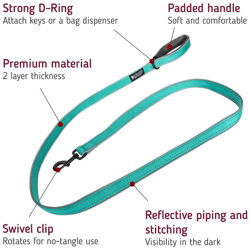 Leash Boss 6ft Ultra Comfort Double-Thick Soft Padded Handle Reflective Leash for Large and Medium Dogs, Heavy Duty for Large Breeds, Nylon for Small Dogs/Puppies 6 Ft x 1" Wide Aqua