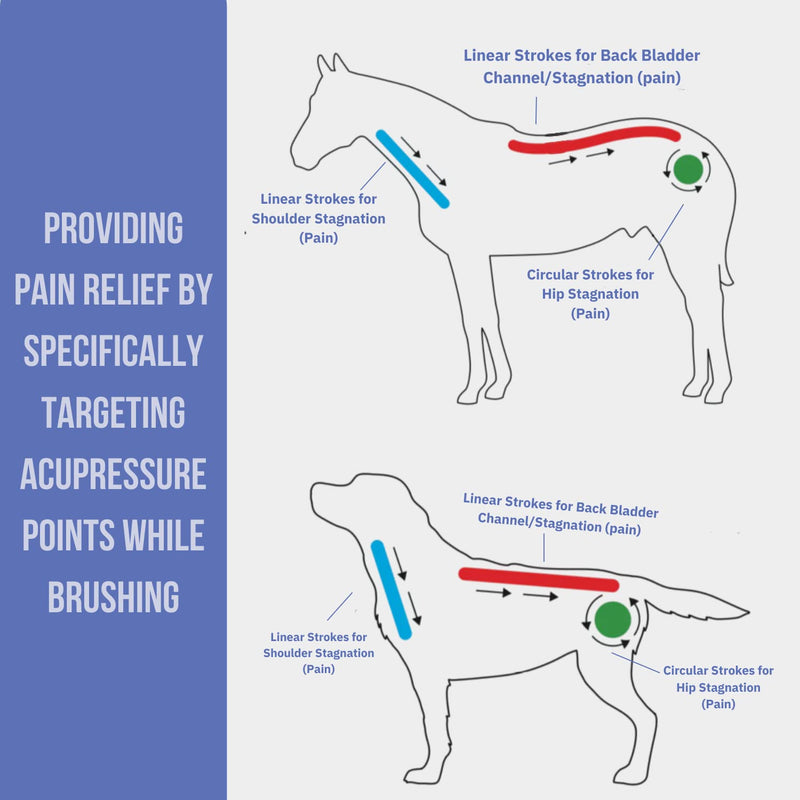 Curry on a Stik' - Dog Brush for Shedding, Grooming, Bathing, & Therapeutic Massage Tool - For Long & Short Haired Dogs - Decreases Shedding & Increases Coat Health - Veterinarian Approved - Ergonomic - PawsPlanet Australia