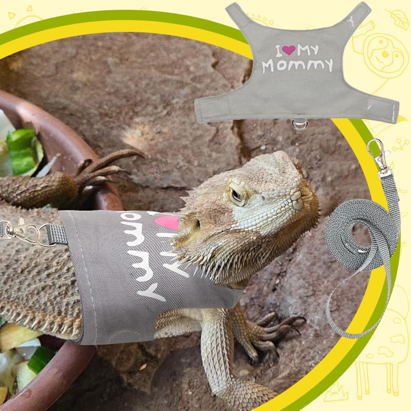 Bearded Dragon Leash and Harness Adjustable - Luminous Leash for Small Pets (Grey) Grey - PawsPlanet Australia