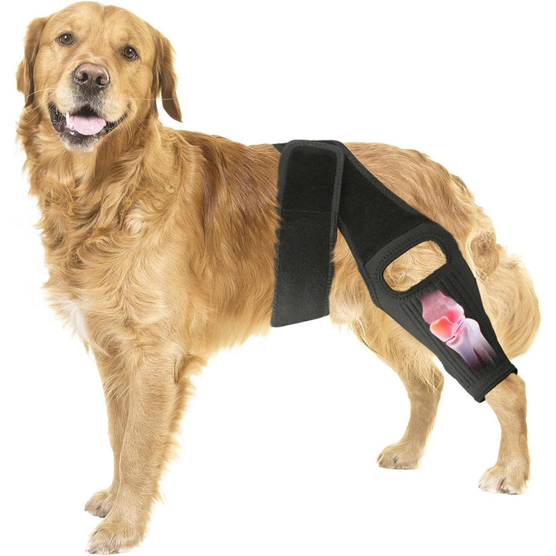 Knee Brace for Dogs for Torn ACL/CCL & Hind Leg Support, for Knee Cap Dislocation, Arthritis - Keeps The Joint Warm and Stable - Extra Support - Reduces Pain and Inflammation (L) L
