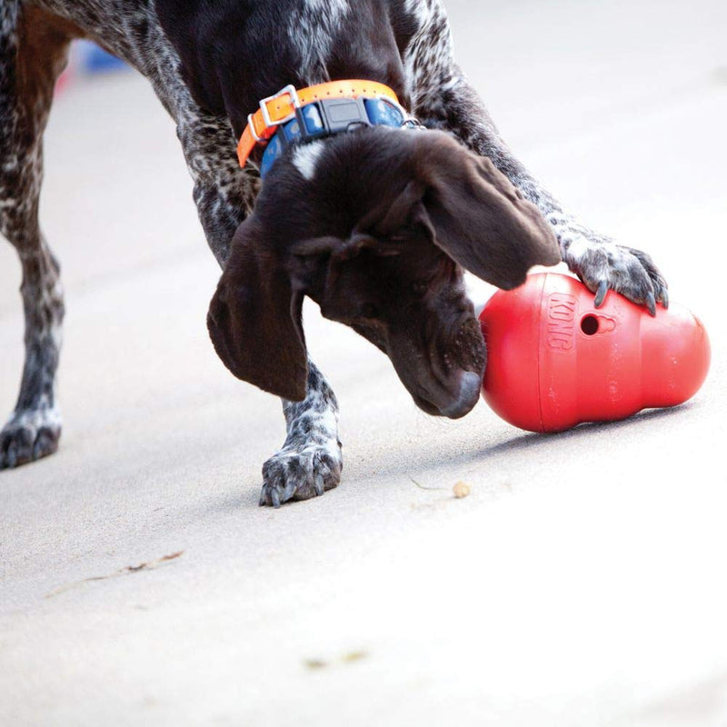 KONG Wobbler - Interactive Dog Toy for Treat Dispensing - Dog Slow Feeder for Healthy Eating - for Medium/Small Dogs Small (Pack of 1) - PawsPlanet Australia