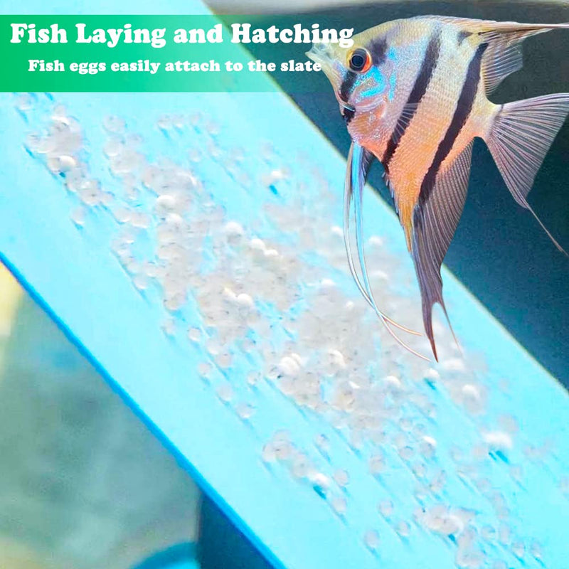 2 Pack Angelfish Discus Breeding Slate, Fish Breeding Spawning Slate Spawning Surface for Aquarium Fish Egg Laying