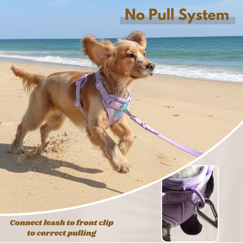 Dog Harness, No-Pull Pet Harness with 3 Leash Clips, Adjustable Soft Padded Dog Vest, Breathable Mesh Cushion for Small Medium Large Dogs (Purple, Medium (Neck:15"-19" Chest 22"-30")) Medium (Neck:15"-19" Chest 22"-30") Purple - PawsPlanet Australia