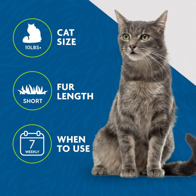 FURminator deShedding Tool For Medium/Large Cats, Short Hair, Removes Loose Hair From Shedding Large - PawsPlanet Australia