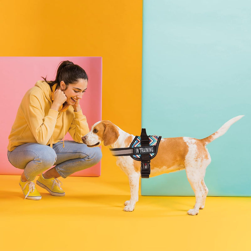 Dogline in Training Patches for Harnesses and Vests Removable 3D Rubber Patches with Hook Backing for Small Medium or Large Working Dogs 1" x 2.75" - Two Patches - PawsPlanet Australia