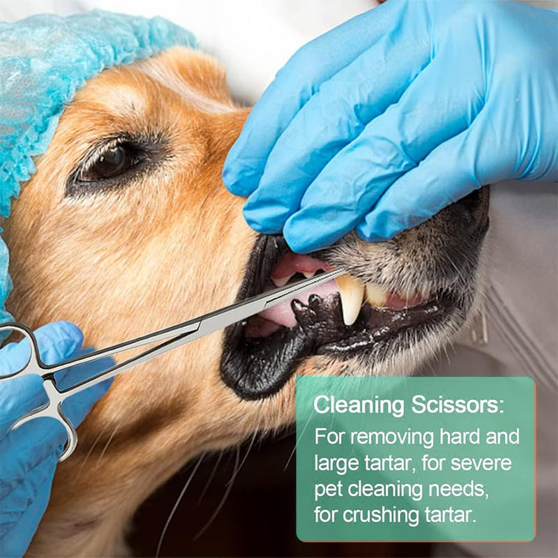 8 Pcs Dog Tartar Remover Pet Teeth Cleaning Tool, Cat Plaque Off Calculus Remover, Dog Tooth Scaler and Scraper, Stainless Steel Dental Forceps for Dogs and Cats Oral Care - PawsPlanet Australia