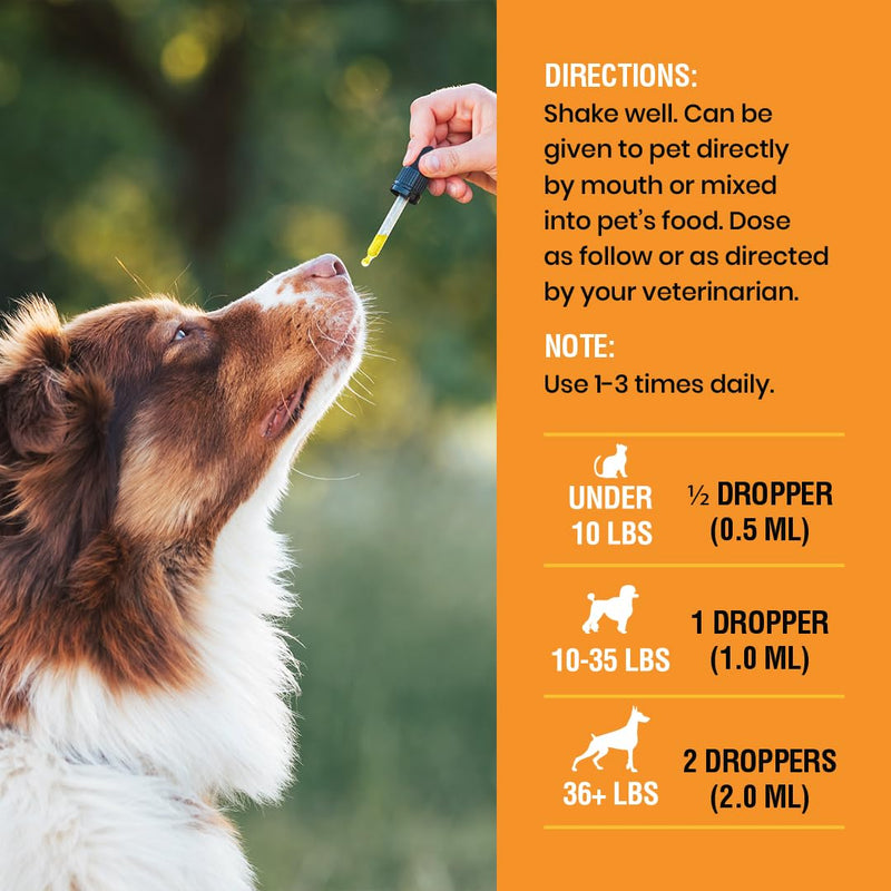 10-in-1 Liquid Multivitamin for Dogs and Cats, 4 Ounce Multi Vitamin Supplement, Vitamin for Dogs, Vitamins for Cats, with Glucosamine & Cranberry, 4 oz 4 Ounce (Pack of 1)