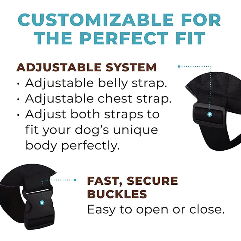 Joyride Harness for Small, Medium, Large Dogs, No-Pull Pet Harness with 3 Side Rings for Leash Placement, Adjustable Soft-Padded Vest for Training, Walking, Running, No-Choke with Easy On-Off Technology S Fall Plaid - PawsPlanet Australia