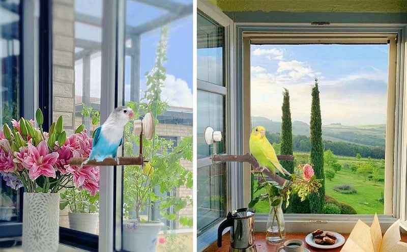 6 Pack Suction Cup Accessory Sets for Brid Perches Brid Stand Sticks Stand Toy Wood Platform for Parrot Parakeet Cockatiel Budgie Suction Cup for Window Bath Shower Car Travel Wall Outdoor Indoor 6 pack - PawsPlanet Australia
